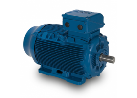 Elektromotory WEG